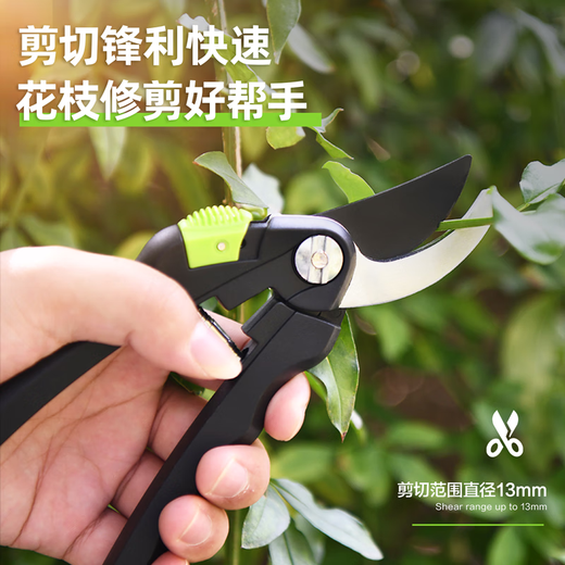 Deli tools pruning pruning scissors flower branch pruners fruit tree gardening pruning pruning branches floral pruners labor-saving large thick branches 8-inch labor-saving thin branch shears-DL580201