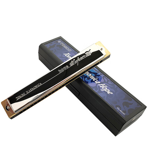 Tongbao Japan 24-Loch 6624S Polyphonic Marmonica Hope Serie Professionelle Instrumente für Anfänger für Erwachsene F-Tune