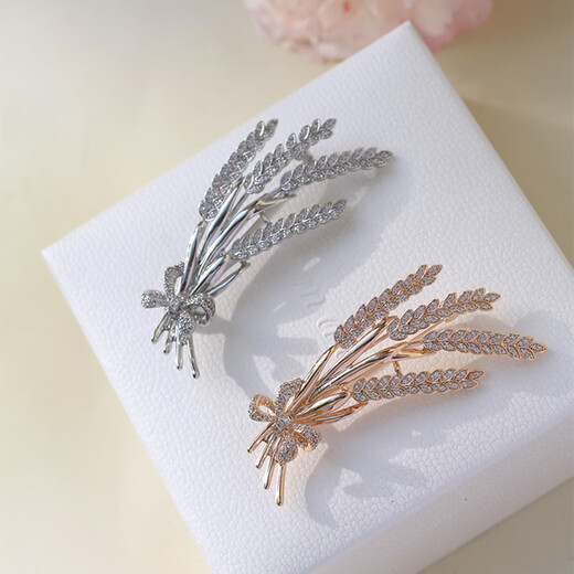 Shijun (SHIJUN) men's brooch men's suit luxury brand brooch brooch brooch brooch badge badge suit accessories high silver