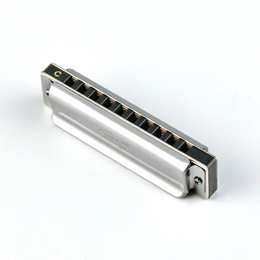 Swan (SWAN) blues harmonica 10-hole C key children's beginners entry professional blues genuine paddy tuning silver