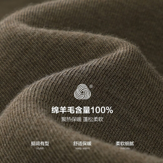 杉杉（FIRS）纯羊毛加绒毛衣男秋冬新款圆领打底休闲保暖厚针织衫677 卡其 3XL (190)