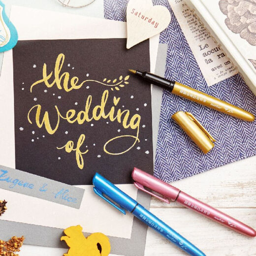 Lion Metal singular pen stroke hook paint pen DIY gold and silver signature marker hand-painted black card decorative metal singular pen soft head mixed color 5 MM681B