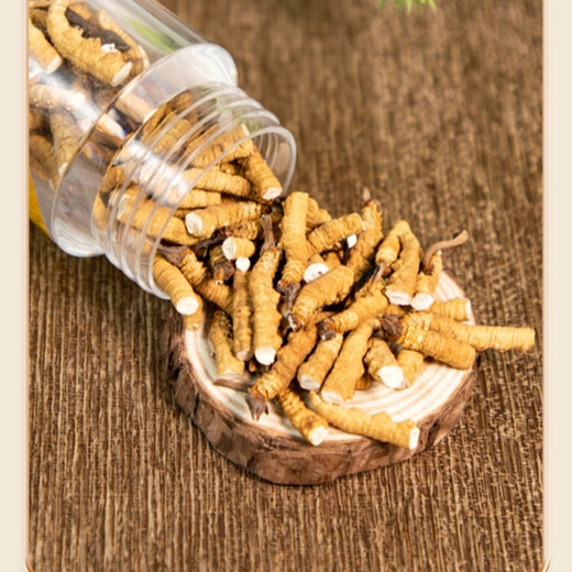Cordyceps sinensis treasure high altitude Cordyceps sinensis selection in the snowy areas of Tibetan areas in Tibet Big Broken Grass pure meat section dried Cordyceps sinensis nourishing Cordyceps sinensis treasure 5 grams