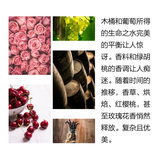 铂珑铂悦白兰地系列 IWSC金奖OXO礼盒版 700mL 1瓶