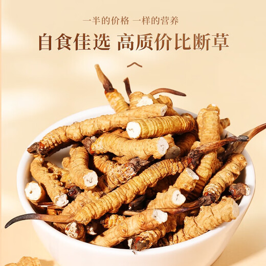 Authentique Tibétain à haute altitude Cordyceps Sinensis Broken Grass Whole Meat Festival 10g Grandes bouteilles pour les produits secs à la maison Nagqu, Tibet 10G [1g libre]
