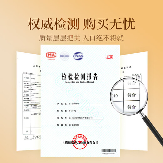 贡苑青钱柳250g 中药材原料张家界叶金钱柳青前柳 可配玉米须桑叶