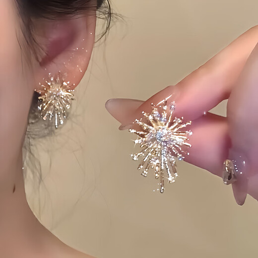 Tapaying Fashionable Zircon Fireworks Earrings Light Luxury High-end Autumn and Winter Earrings Korean Style Earrings Fashion Earrings New Style Fireworks Earrings Pair