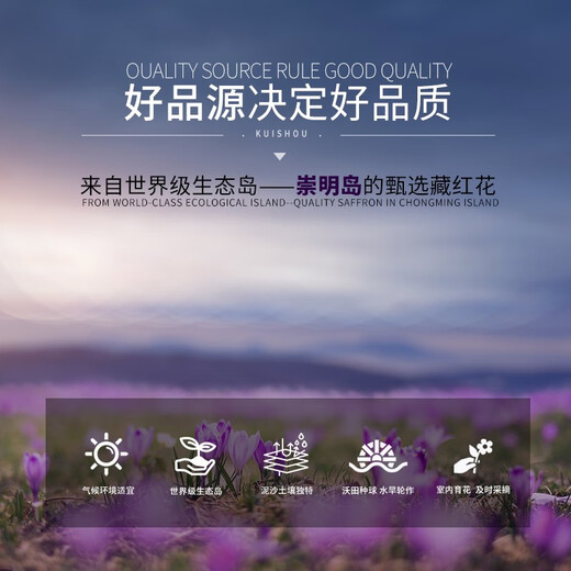 甄品岛 ZHENPDO【买花送种球】上海崇明特产藏红花 藏红花正品 特级藏红花西红花 优享体验装（量少 喝一周）
