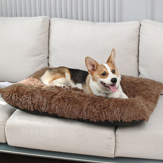 Cocs animal de compagnie moelleuse en attente hivernale sommet pour animaux de compagnie lit de chien confortable lit chat lit de chien lit pour animaux de compagnie Pider Xs (43 * 30 cm Poids recommandé 5 Jin [Jin est égal à 0,5 kg]))