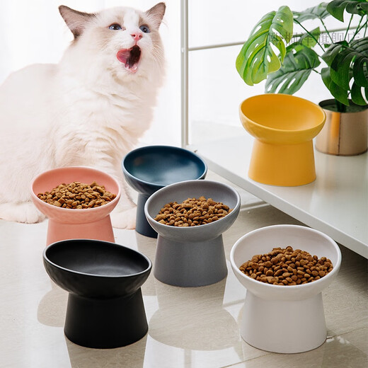 涧冰斜口碗陶瓷宠物碗高脚护颈猫碗食盆斜口碗防黑下巴哑光色釉碗猫咪 灰色 高脚斜口 适中