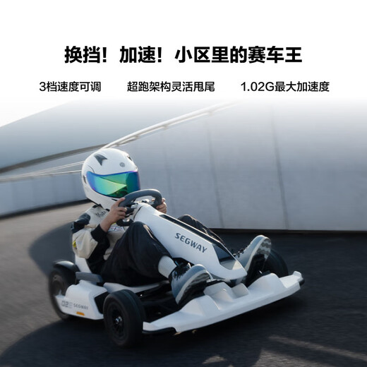 NINEBOT九号卡丁车儿童成年人炫酷漂移车四轮小赛车9号平衡车mini改装卡丁车套件2网红款APP男女智能车pro 九号卡丁车mini双色保马烤漆款