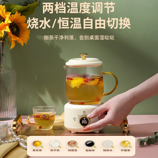 Le Stew health pot mini office teapot for one person small tea kettle all-glass electric cup boiling water kettle 55 degrees electric stew health cup gift portable flower teapot white 0.6L + gift box (without cup)