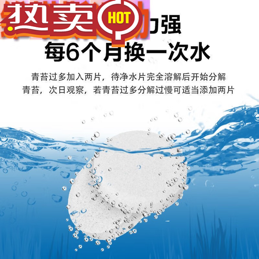 Shantou Lincun Water Resistance Rowing Machine Water Blue Agent Water Resistance Rowing Machine Water Purification Tablets Remove Moss and Remove Algae Rowing Machine Water Resistance Rowing Machine Water Purification Tablets 4 Pack