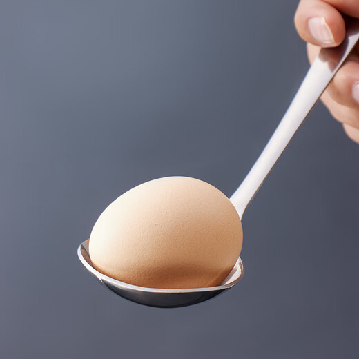 Baijie 304 stainless steel spoon household soup spoon large porridge spoon tableware 1 pack