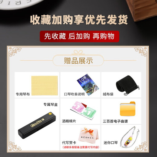 和来德国原装HOHNER和来口琴高级成人专业演奏初学者入门24孔复音乐器 【银色】+原厂配盒子+全套教程