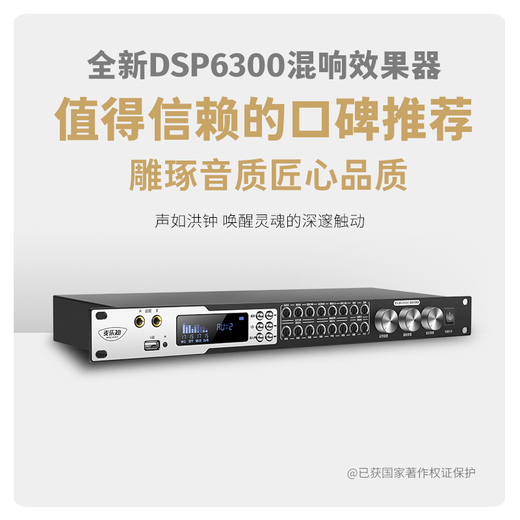 Melody DSP6300 karaoke reverberation digital audio preamp effector home theater anti-howling mixer processor including microphone mixer equalizer DSP6300 deluxe upgraded version (including cable) standard version