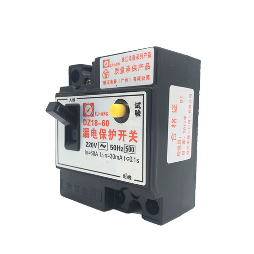 Zhujiang leakage circuit breaker 220V two-phase 40a60-an leakage protector switch 32a main switch 40A 2P