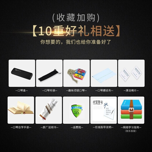 国光上海国光口琴演奏级24孔复音C调初学者学生成人儿童入门乐器专业 24孔C调银色复音【演奏级】+赠品