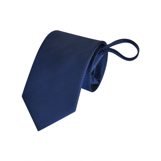 RORONOA tie men's zipper formal wear lazy men's business zipper without knotting students' one-time pull [good stuff] Zipper tie-E826