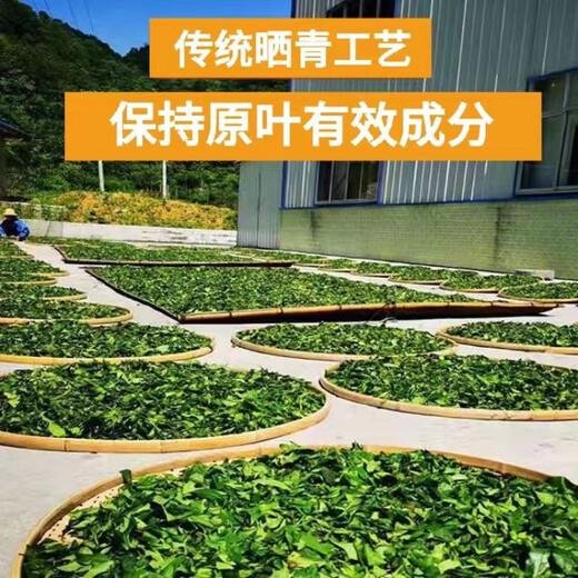 修水野生 青钱柳茶 清金钱 特级古树嫩叶 原叶 中老年 养生茶 半斤装原叶250克