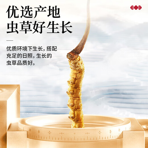 Lei Yunshang [offiziell] Cordyceps sinensis High-End-Geschenkbox High-End-Ergänzungen für Geschenkbox für Ältesteeltern [Cordyceps rennt durch, Jianyi Forever] Hohe Kostenwirksamkeit für selbstverbrauchsbrechendes Gras 20G-Paket 20G Paket