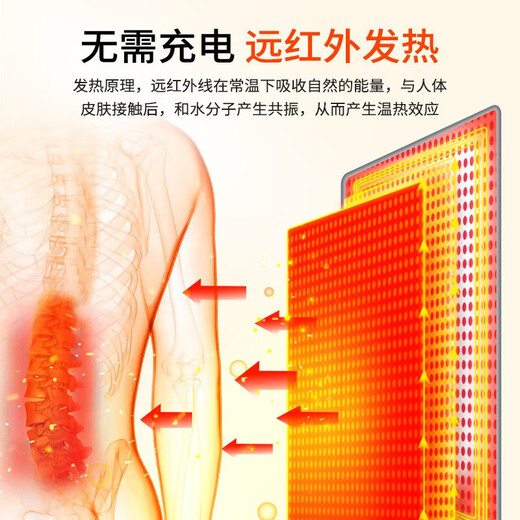 南极人（Nanjiren）护腰带自发热保暖腰间盘突出劳损夏季薄款久坐久站腰托男女士专用 【四季推荐】自发热保暖款 L（腰围86-103cm）建议120-150斤