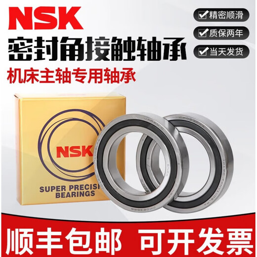 NSK Precision Hochgeschwindigkeit versiegeltes Lager 7008 7009 7010 7011 7012 7013 7014 RZ ITS ONDERE H7009-2RZ/P4 Single