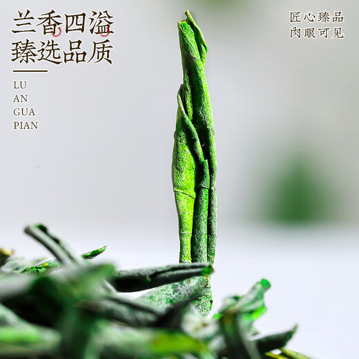 Zhonggu Yupin Tea Green Tea Special Grade Lu'an Melon Pieces New Tea Pre-Rain Strong Flavor Mid-Autumn Festival Tea Gift Box 250g