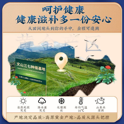 北京同仁堂超细三七粉文山可搭特级纯天然37粉云南田七粉 北京同仁堂 官方正品 【好三七 送爸妈】（共300g）