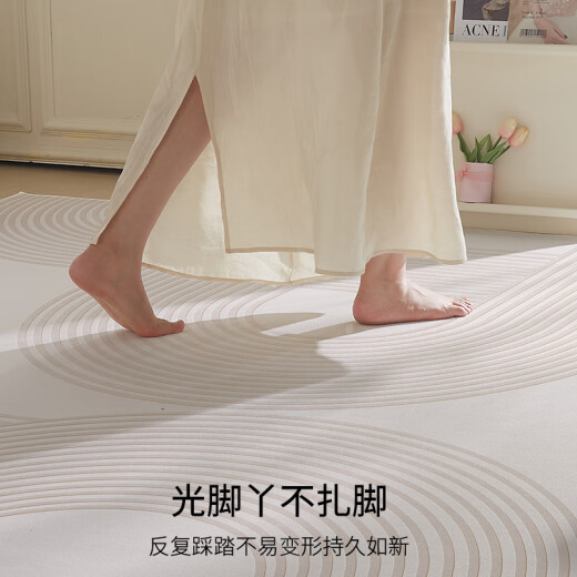 布迪思地毯卧室大面积满铺家用客厅毯沙发茶几轻奢防滑毯简约可定制地毯 现代6210【加厚圈绒】 240*400CM【属于定制不退换】