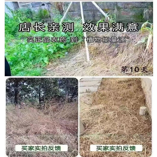 Glyphosate ammonium salt special powerful weed-killing root-rot agent orchard glufosinate phosphorus root-killing high-concentration pesticide 5kg