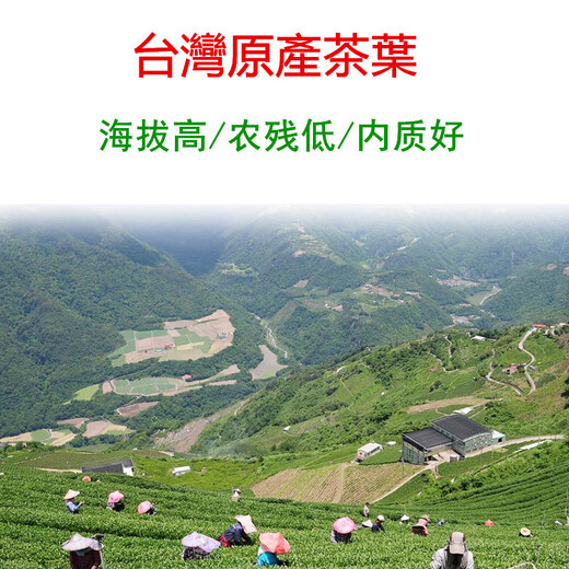 平茗 台湾茶叶礼盒装原产高山茶冻顶乌龙茶阿里山梨山茶茗新茶送礼人 B浓香冻顶乌龙茶 320克 * 1盒