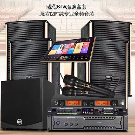 HYUNDAI现代家庭KTV音响套装卡拉OK机家用客厅K歌功放音箱影院点歌机全套 四只十二寸专业歌神版+点歌机+12寸炮