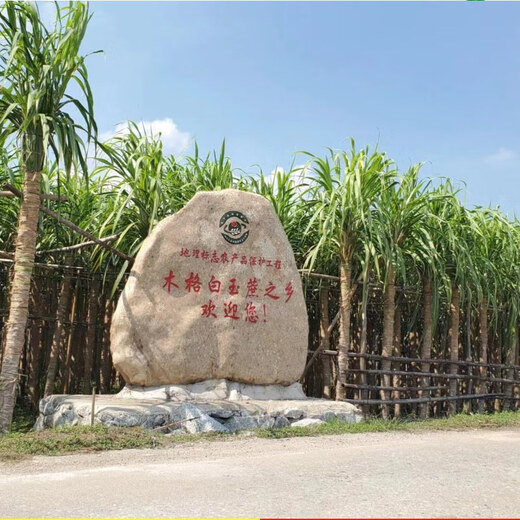 Asarum Guangxi Muge White Jade Sugar Cane Seeds Authentic Glass Crisp Seedlings Straight Hair From the Origin and Shipped with Buds 9 Roots