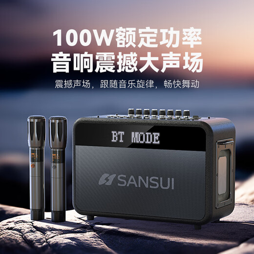 山水（SANSUI）便携式手提音箱广场舞音响音箱带KTV无线话筒小型直播k歌音响移动户外大功率声卡卡拉OK G13【歌词同步+一键消音】