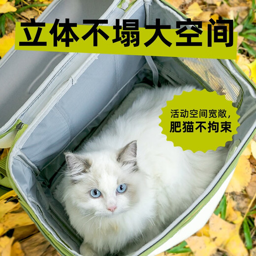 D-cat Katzentasche, Trolley, Hundetasche, Raumkapsel, zum Ausgehen, extra große Katzentasche, zum Ausgehen mit Fenster, große Katzentasche mit großem Platz, 20Jin Jin entspricht 0,5 kg fetter Katze, sorgenfreier Camping-Stil, Trolley-Katzentasche