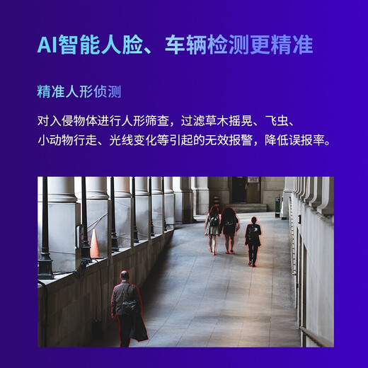 普联（TP-LINK） 双频无线5G WiFi监控摄像头 AI人形车辆识别 360度全彩家用高清室外防水球机 TL-AIPC653-A【500万超清标准版】 128G