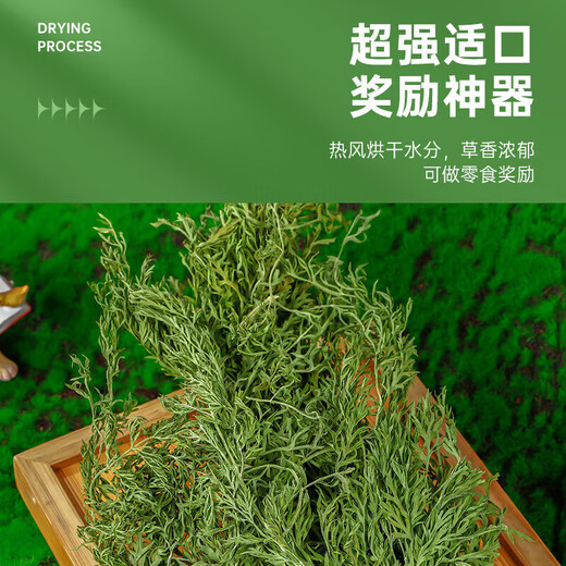 Xishuai dried carrot tassel baby rabbit food pasture lop-eared rabbit food hay chinchilla guinea pig feed 500g net weight/box