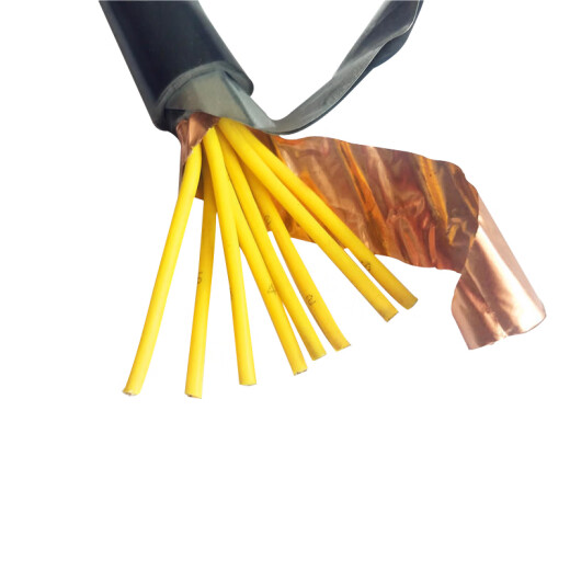 Jiayan national standard KVVP2-224*4 square 4-core copper tape shielded steel tape armored control power cable 1 meter