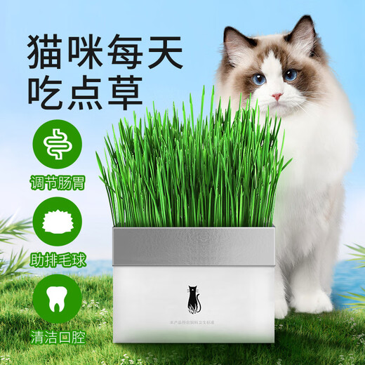 Lion Doctor Hydroponic Cat Grass Set Wheat Seed Cat Snacks Lazy Potted Hair Removal Ball Natural Cat Grass Self-Grown Fresh Grass Special Offer 4 bags as low as 2.5/bag