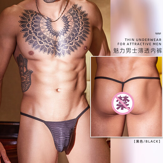 欲之诱惑男士性感新款镂空弹力低腰三角内裤条纹薄透男丁字裤 白色 1条 均码 （80-130斤）