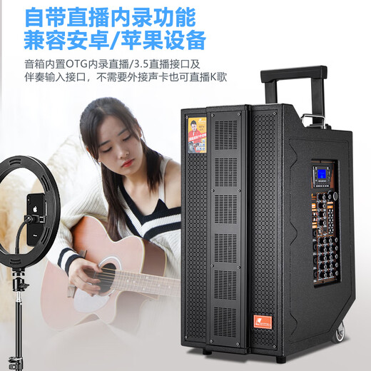 丹唛仕户外专业演出KTV一体机大屏幕电吉他萨克斯乐器重低音大功率直播大舞台内置蓝牙高端音响 H-9000重低音音响
