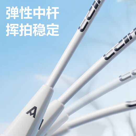 Deli youth badminton racket wear-resistant, lightweight and quality basic training badminton racket pairing