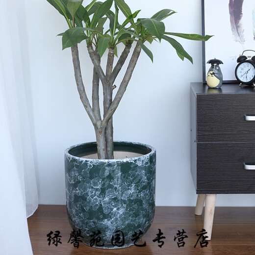 陶瓷北欧花盆蝴蝶兰绿萝加厚简约大号落地创意拉丝圈绿植盆栽章 694绿结晶 特大