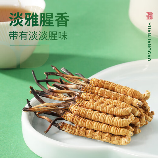 源江草冬虫夏草高洁净虫草3根/g 1克养生滋补品体验装【好滋补认证】
