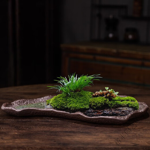 吸水石盆苔藓吸水石盆器盆景盆长方形菖蒲假山上水石水培紫砂陶瓷底盘盆栽 盆景盆2677 陶瓷 大
