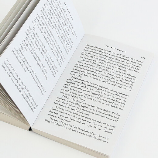 追风筝的人 英文原版 The Kite Runner 胡赛尼 当代文学名著 课外阅读 电影原著小说 搭灿烂千阳 群山回唱 杀死一只知更鸟