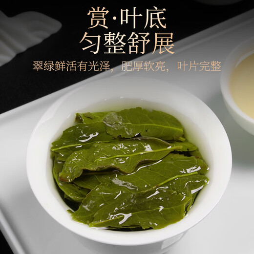传奇会乌龙茶 安溪铁观音 清香型特级250g轻火礼盒装兰花香茶叶送礼礼品