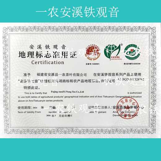 Yinong Tee erstklassige Duft Tieguanyin Oolong Tea Grain Duftbeutel 250g Fujian Tee