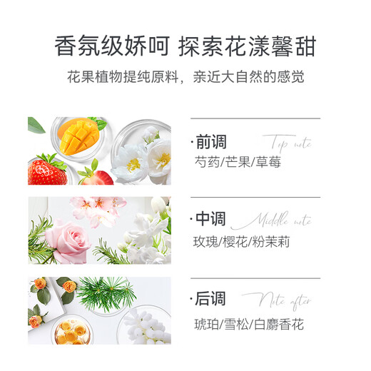 Amino Mason Cherry Blossom Duft weiches Shampoo 450 ml Silikonfreies Shampoo aus Japan importiert